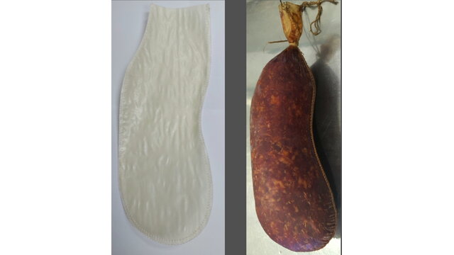 Veštačke Kate (1103)